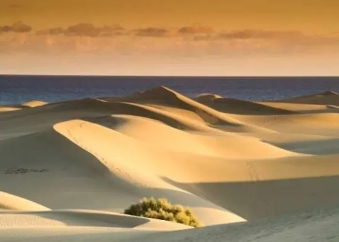 Pool View Yard Будинок відпочинку