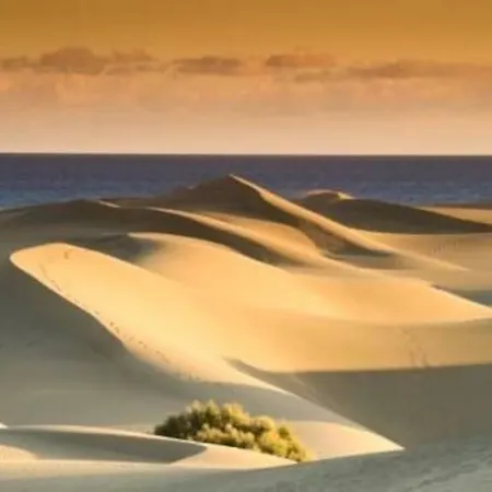 Pool View Yard Будинок відпочинку